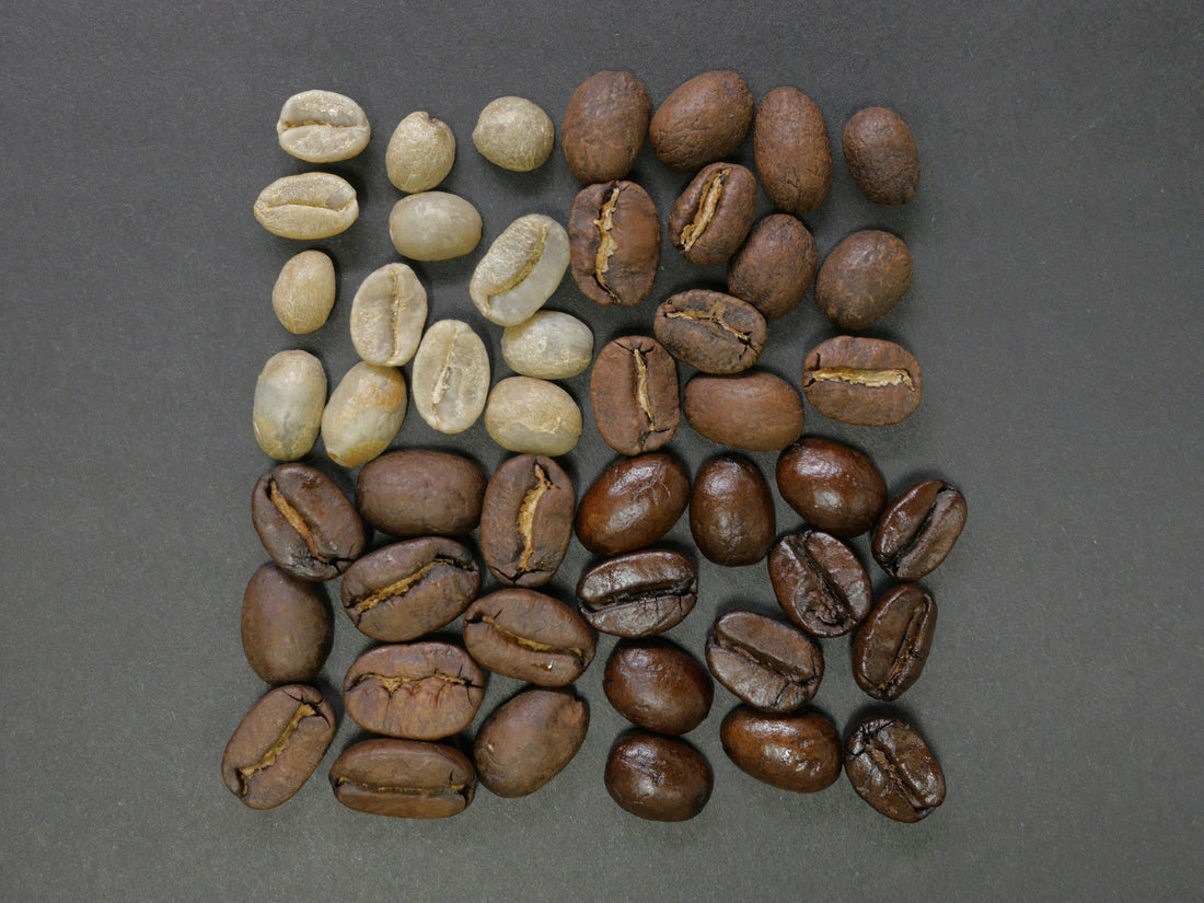 From Bright to Bold: A Guide to Coffee Roast Profiles and Flavour Notes
